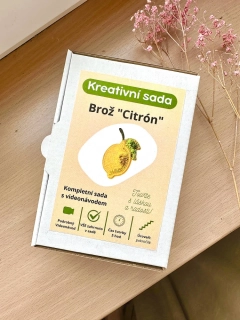 Kreativní sada citron 